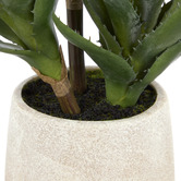 The Home Collective 33cm Faux 3 Head Aloe with Vase