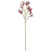 The Home Collective 77cm Red Faux Kangaroo Paw Spray