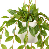 The Home Collective 36cm Potted Faux Hanging Lush Leaf