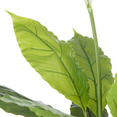 The Home Collective 78cm Potted Faux Peace Lily