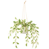 The Home Collective 36cm Potted Faux Hanging Ficus