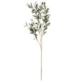 The Home Collective 105cm Faux Olive Spray
