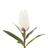 The Home Collective 61cm White Faux Protea Stem