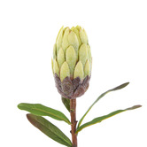 The Home Collective 61cm Green Faux Protea Stem