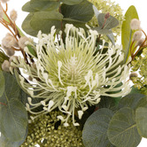The Home Collective 27cm Potted Faux Native Plant