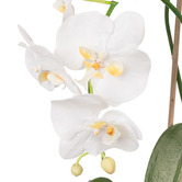 The Home Collective 67cm White Potted Faux Phalaenopsis Orchid