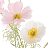 The Home Collective 24cm Pink &amp; Cream Faux Poppy &amp; Cosmos with Glass Vase