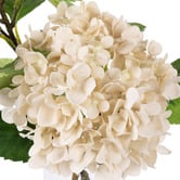 The Home Collective 47cm Faux Hydrangea Vivid Leaf with Glass Vase