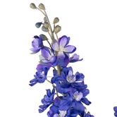 The Home Collective 73cm Blue Faux Delphinium &amp; Hydrangea with Glass Vase