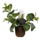 The Home Collective 44cm Potted Faux Protea Pod &amp; Flower Arrangement
