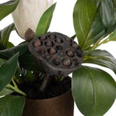 The Home Collective 44cm Potted Faux Protea Pod &amp; Flower Arrangement