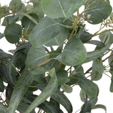 The Home Collective 93cm Faux Eucalyptus &amp; Gum Leaves with Glass Vase