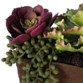 The Home Collective 17cm Potted Faux Succulent Mix Arrangement