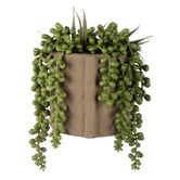 The Home Collective 15cm Potted Faux Hanging Pearl Succulent