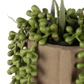The Home Collective 15cm Potted Faux Hanging Pearl Succulent
