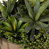 The Home Collective 28cm Potted Faux Succulent Mixed Arrangement