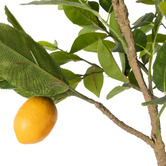 The Home Collective 72cm Faux Lemon Tree Branches with Glass Vase
