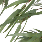 The Home Collective 67cm Potted Faux Eucalyptus Nicholii Plant