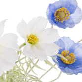 The Home Collective 24cm Blue Faux Poppy &amp; Cosmos with Glass Vase