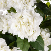 The Home Collective 78cm Faux Hydrangea with Ceramic Vase
