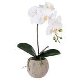 The Home Collective 48cm Potted Faux Phalaenopsis Orchid