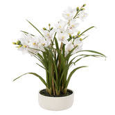 The Home Collective 85cm Potted Faux Cymbidium Orchid