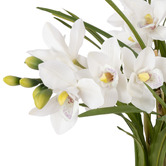 The Home Collective 85cm Potted Faux Cymbidium Orchid
