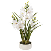The Home Collective 74cm Potted Faux Cymbidium Orchid