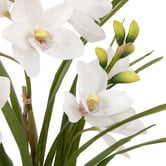 The Home Collective 74cm Potted Faux Cymbidium Orchid