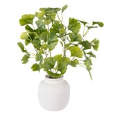 The Home Collective 50cm Faux Gingko with Ceramic Vase