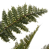 The Home Collective 83cm Potted Faux Mountain Wood Fern Plant
