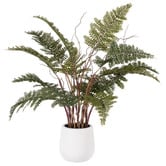 The Home Collective 55cm Potted Faux Mountain Wood Fern Plant