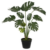 The Home Collective 65cm Potted Faux Mostera Plant