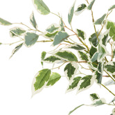 The Home Collective 150cm Potted Faux Ficus Tree