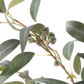 The Home Collective 120cm Eucalyptus Gumnut Tree