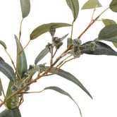 The Home Collective 170cm Potted Faux Eucalyptus Gumnut Tree