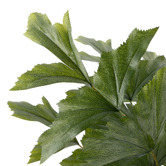 The Home Collective 90cm Potted Faux Caryota Palm Tree