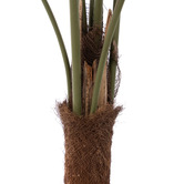 The Home Collective 120cm Potted Faux Caryota Palm Tree
