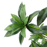 The Home Collective 120cm Potted Faux Japonica Tree