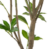 The Home Collective 120cm Potted Faux Japonica Tree