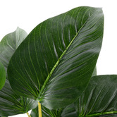 The Home Collective 120cm Potted Faux Philodendron Plant