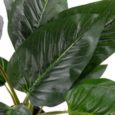 The Home Collective 60cm Potted Faux Philodendron Plant