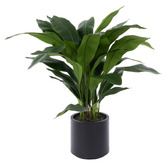 The Home Collective 90cm Potted Faux Cast Iron Plant