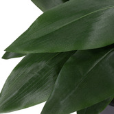 The Home Collective 90cm Potted Faux Cast Iron Plant