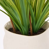 The Home Collective 72cm Faux Kangaroo Paw with Vase