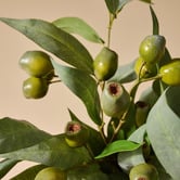 The Home Collective 40cm Faux Mixed Gum Nut &amp; Eucalyptus with Glass Vase