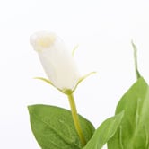 The Home Collective 27cm White Faux Lisianthus with Vase