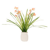 The Home Collective 72cm Faux Kangaroo Paw with Vase