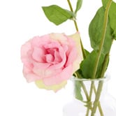 The Home Collective 27cm Pink Faux Lisianthus with Vase