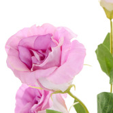 The Home Collective 27cm Faux Lisianthus with Vase